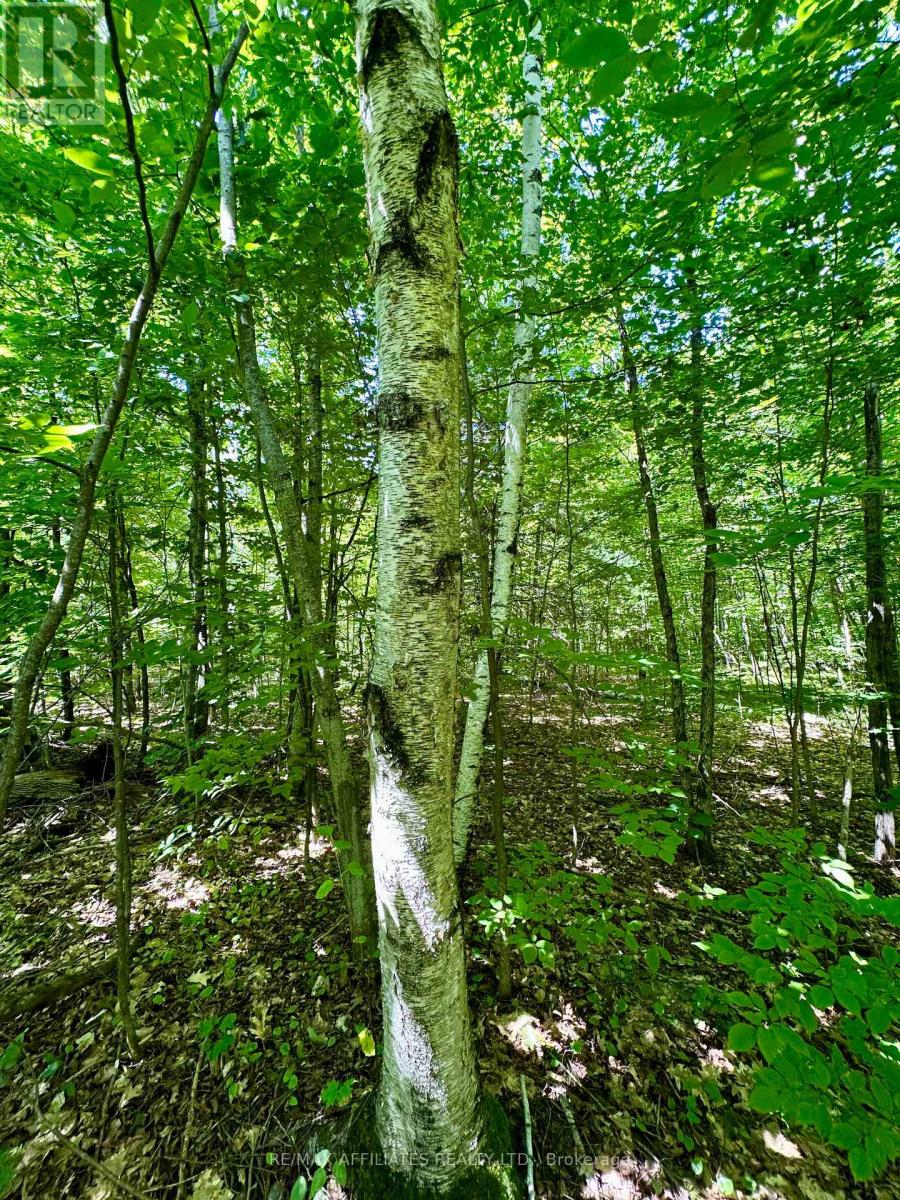 000 Kirk Kove Road, Frontenac, Ontario  K0H 1B0 - Photo 13 - X12364737