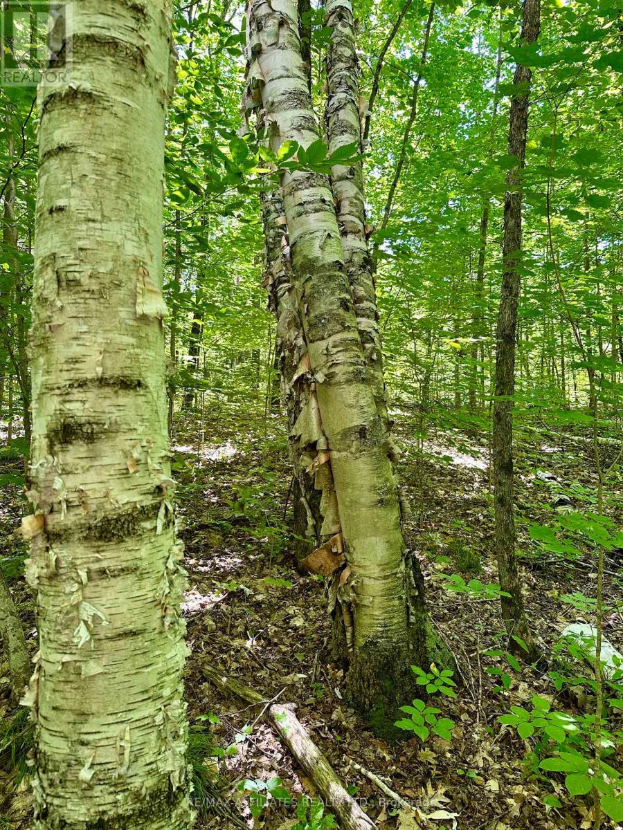 000 Kirk Kove Road, Frontenac, Ontario  K0H 1B0 - Photo 3 - X12364737