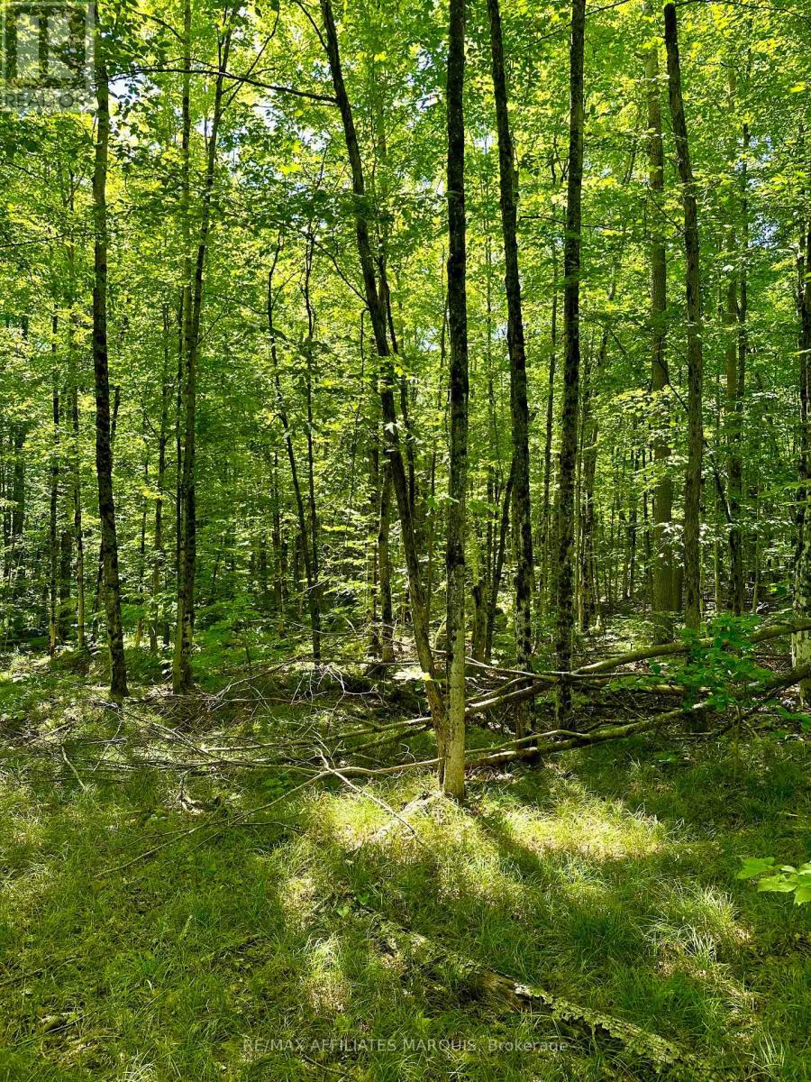 000 Kirk Kove Road, Frontenac, Ontario  K0H 1B0 - Photo 6 - X12364737