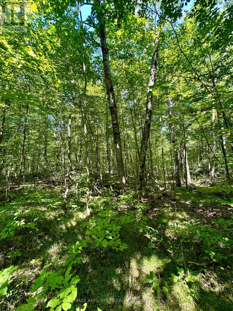 00 Kirk Kove Road, Frontenac, Ontario  K0H 1B0 - Photo 13 - X12364774