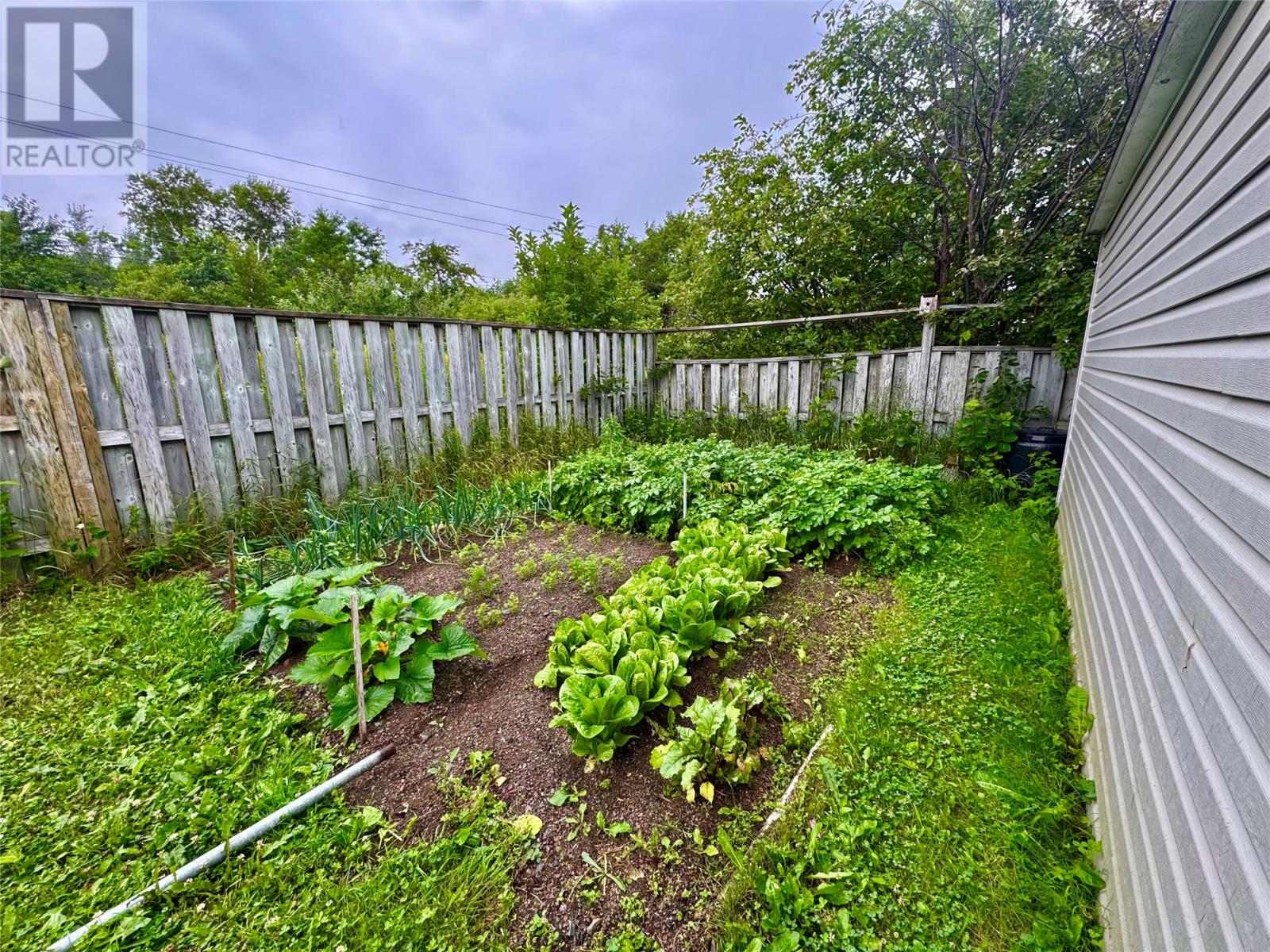 48 Spruce Avenue, Lewisporte, Newfoundland & Labrador  A0G 3A0 - Photo 42 - 1288980