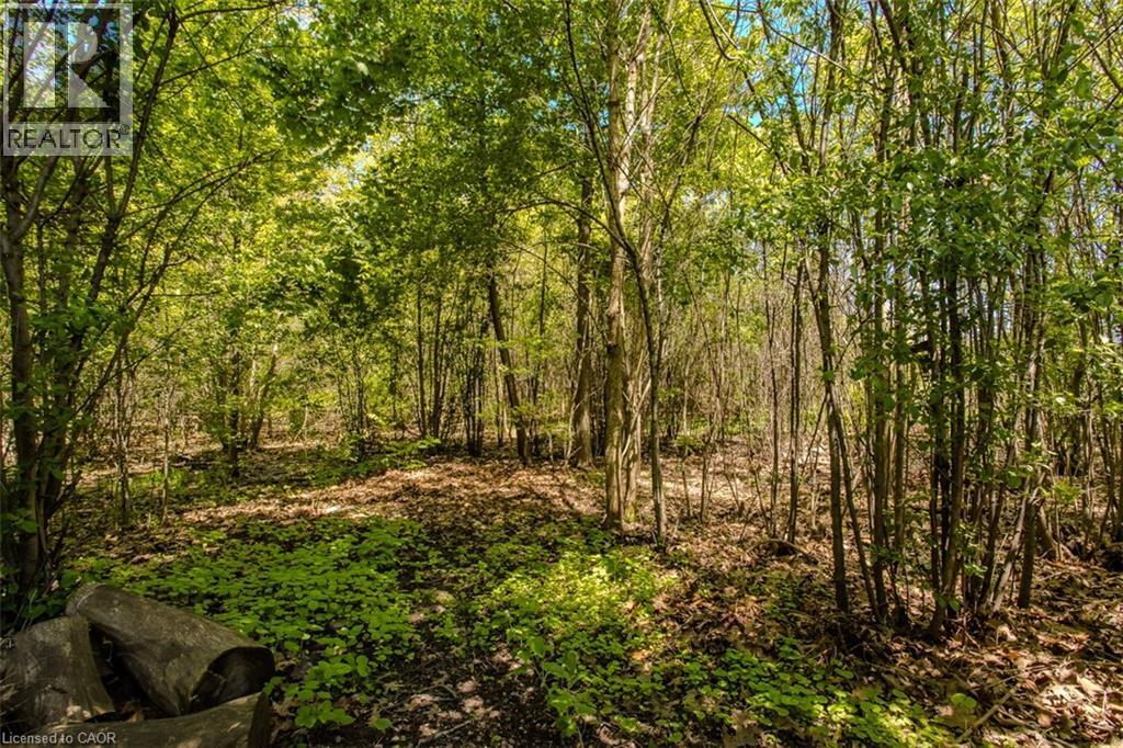 5253 Bromley Road, Burlington, Ontario  L7L 3G1 - Photo 14 - 40746439