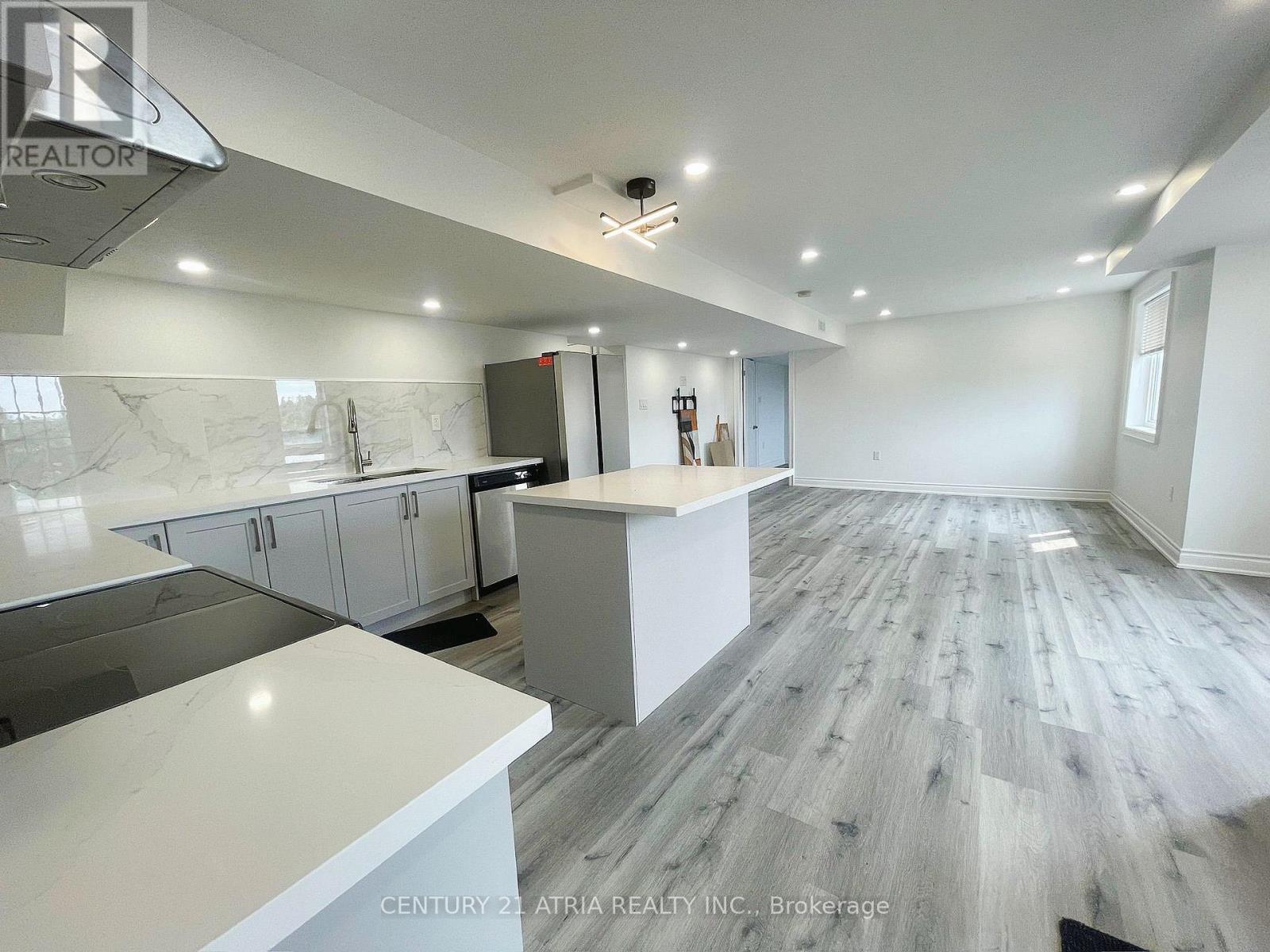 Basement - 37 Ben Sinclair Avenue, East Gwillimbury, Ontario  L9N 0S3 - Photo 2 - N12364722