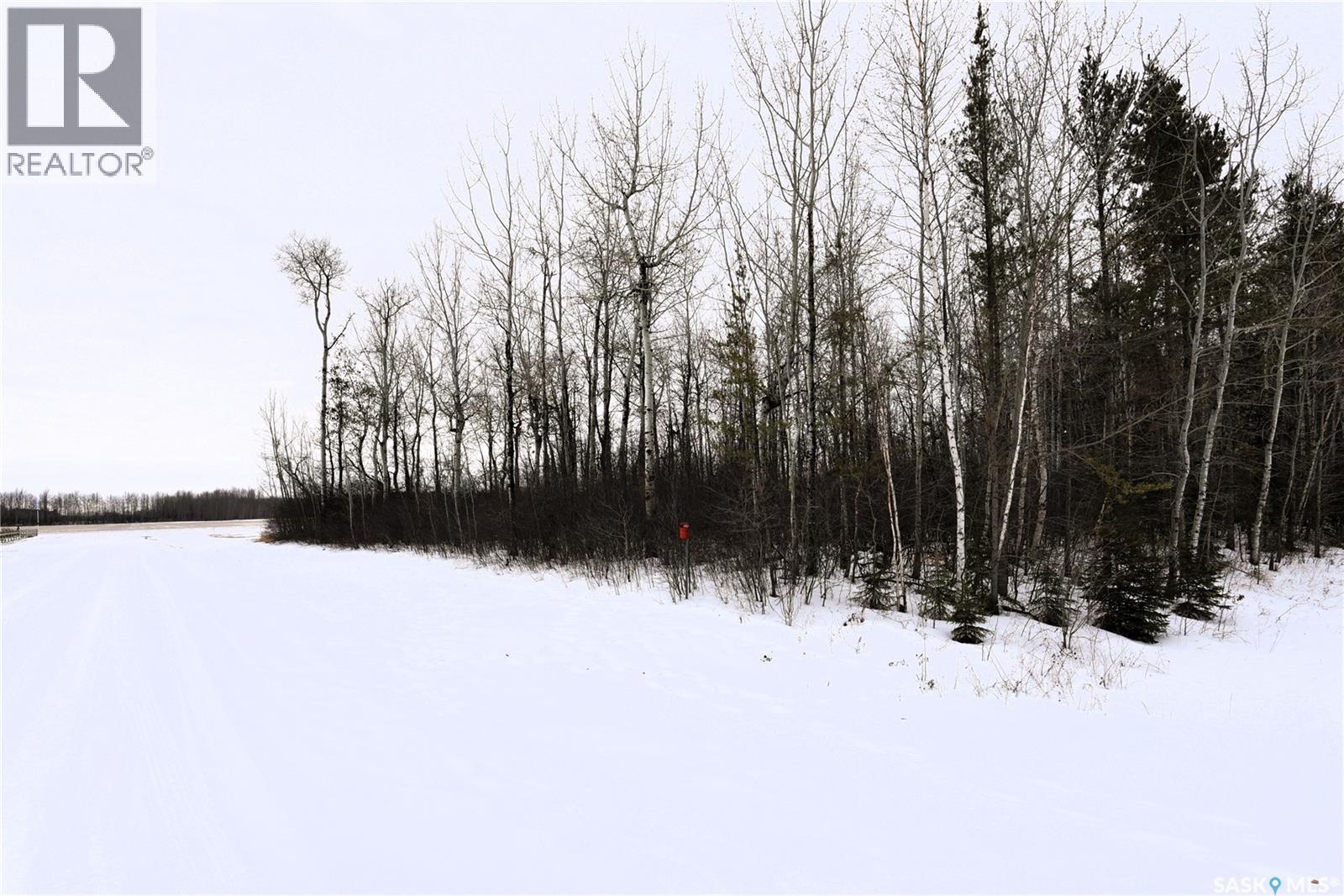 Homestead Lane - Lot 6, Moose Range Rm No. 486, Saskatchewan  S0E 1E0 - Photo 14 - SK999441