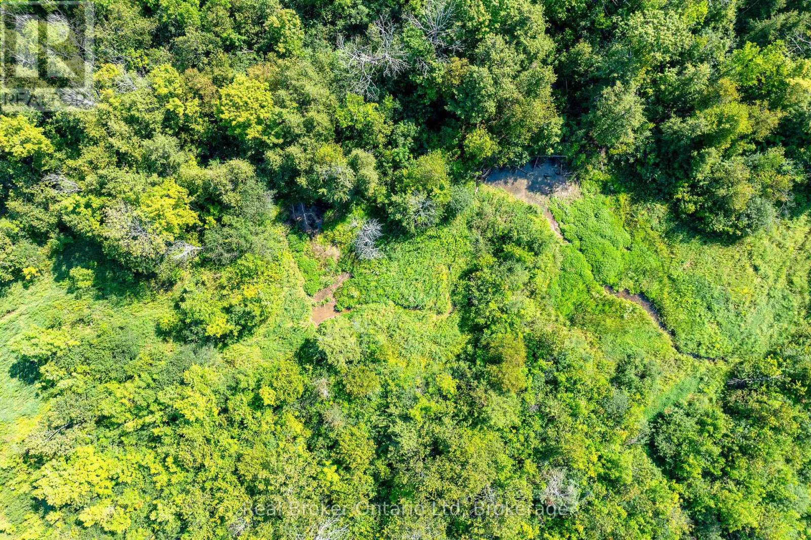 46447 Old Mail Road, Meaford, Ontario  N4L 1W7 - Photo 37 - X12363748