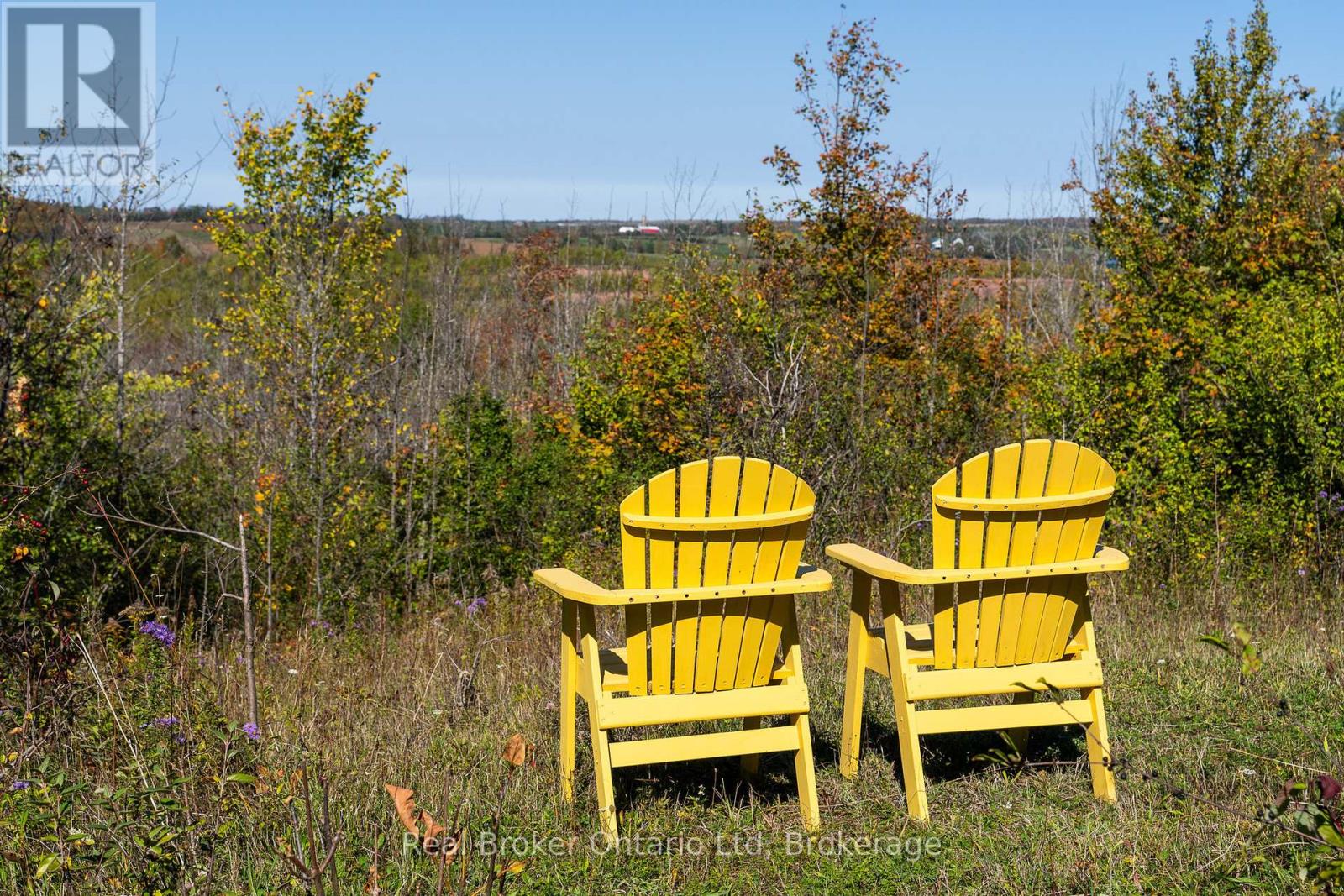 46447 Old Mail Road, Meaford, Ontario  N4L 1W7 - Photo 36 - X12363748