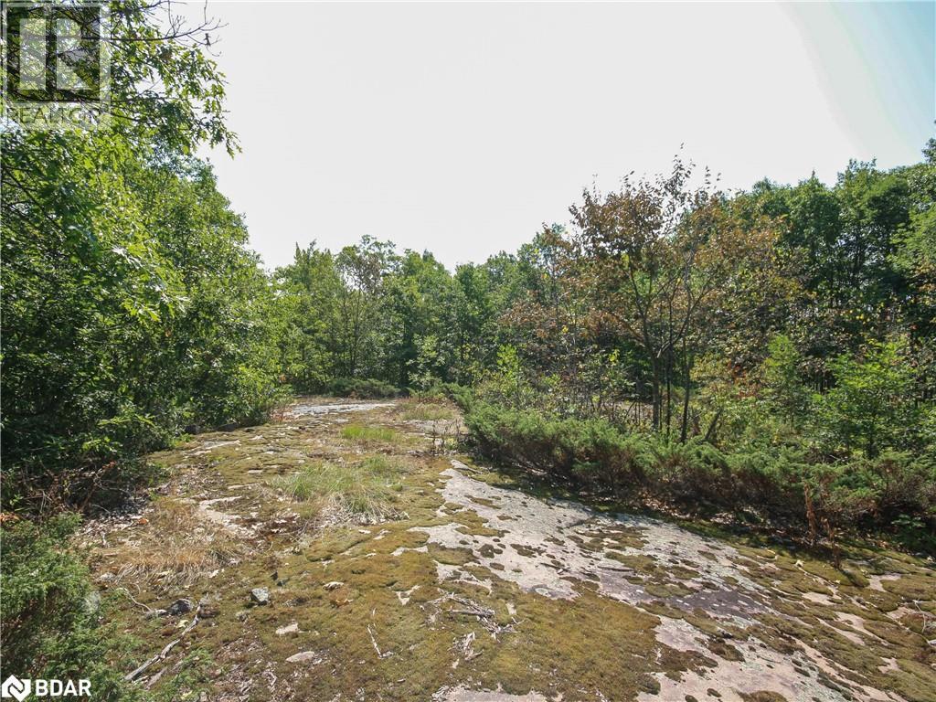 30 Birch Acres Drive, Port Severn, Ontario  L0K 1S0 - Photo 38 - 40762614