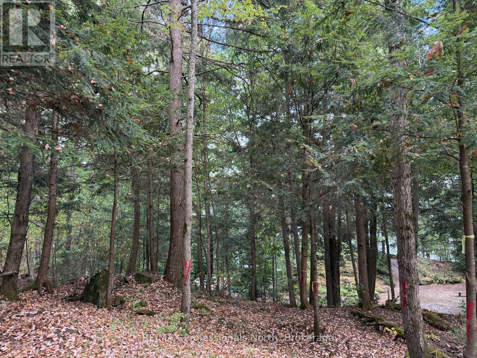 0 Kennisis Lake Road, Dysart Et Al, Ontario  K0M 1S0 - Photo 11 - X12364908