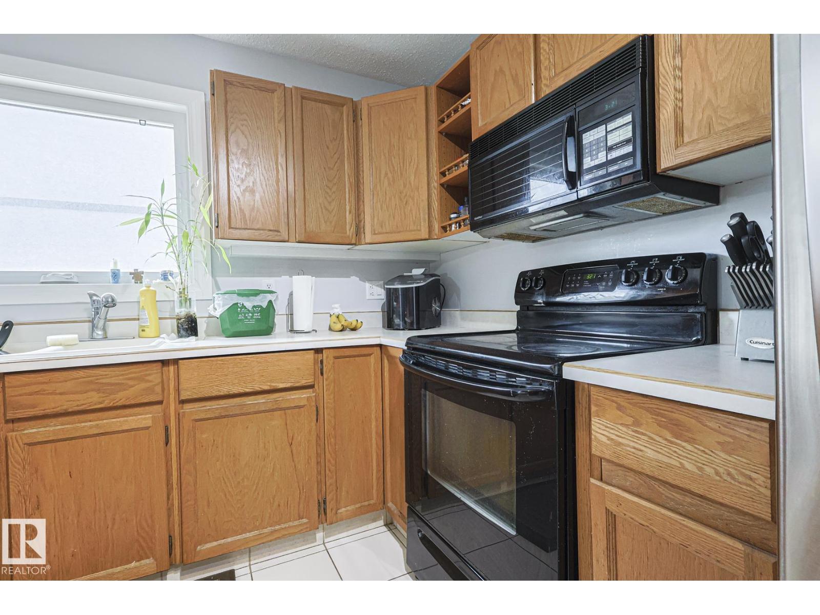 10439 16 Av Nw, Edmonton, Alberta  T6J 5T1 - Photo 17 - E4454738