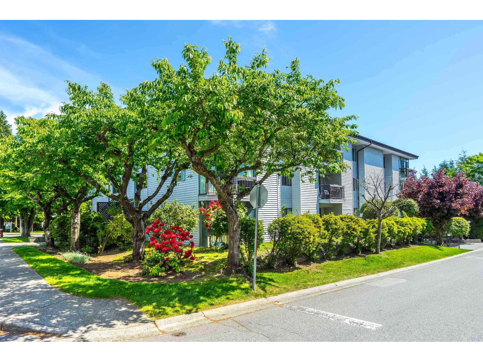 102 15290 THRIFT AVENUE, White Rock, British Columbia