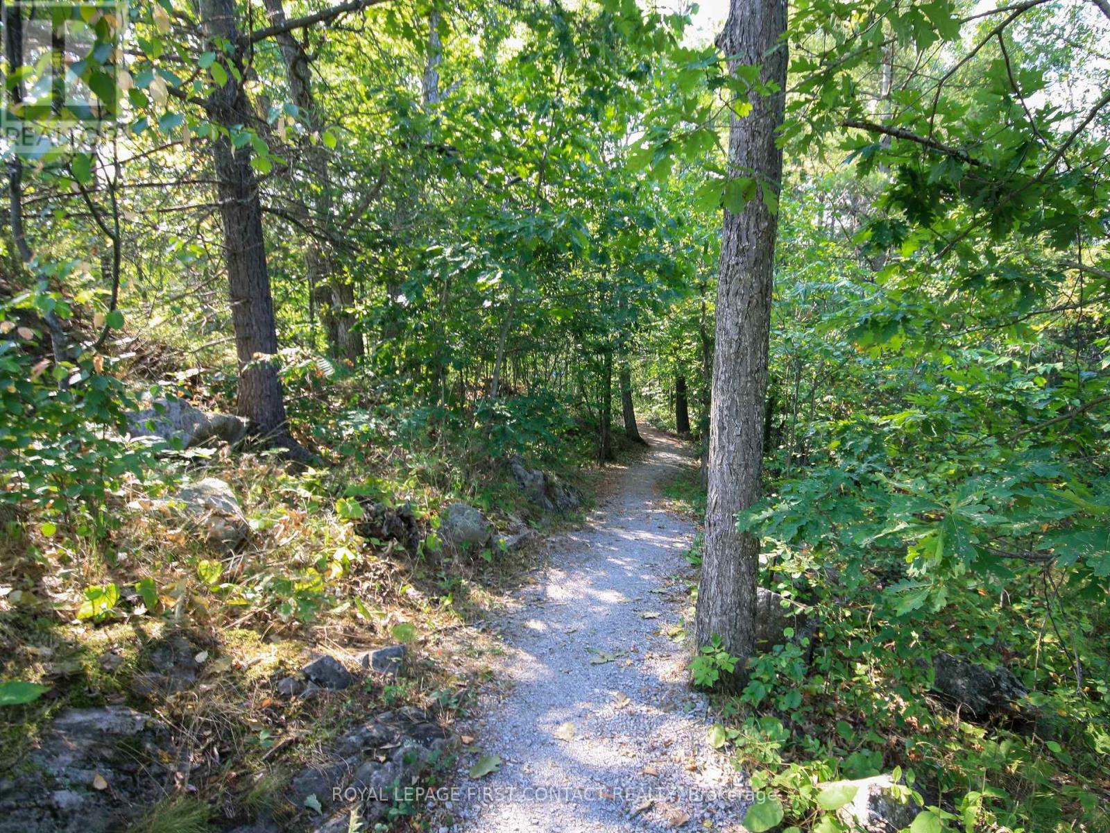 30 Birch Acres Drive, Georgian Bay, Ontario  L0K 1S0 - Photo 25 - X12365019
