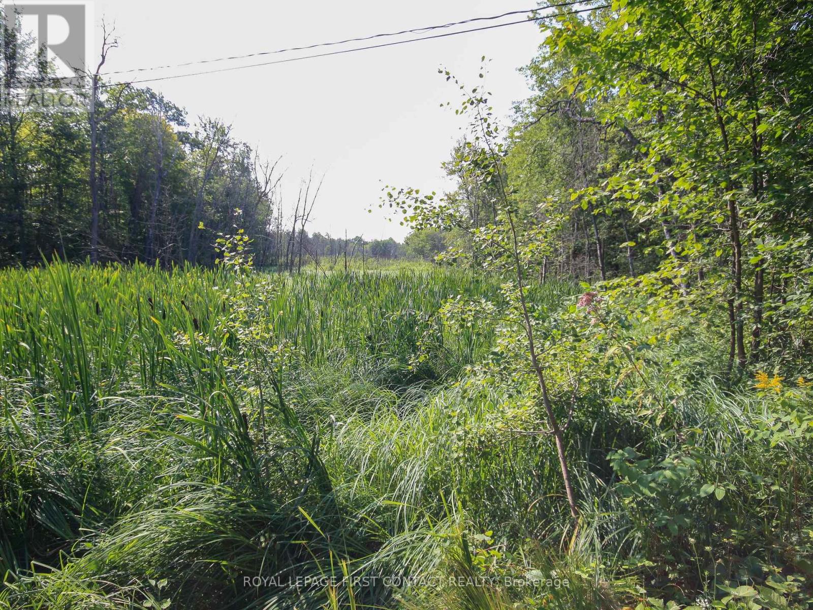 30 Birch Acres Drive, Georgian Bay, Ontario  L0K 1S0 - Photo 26 - X12365019
