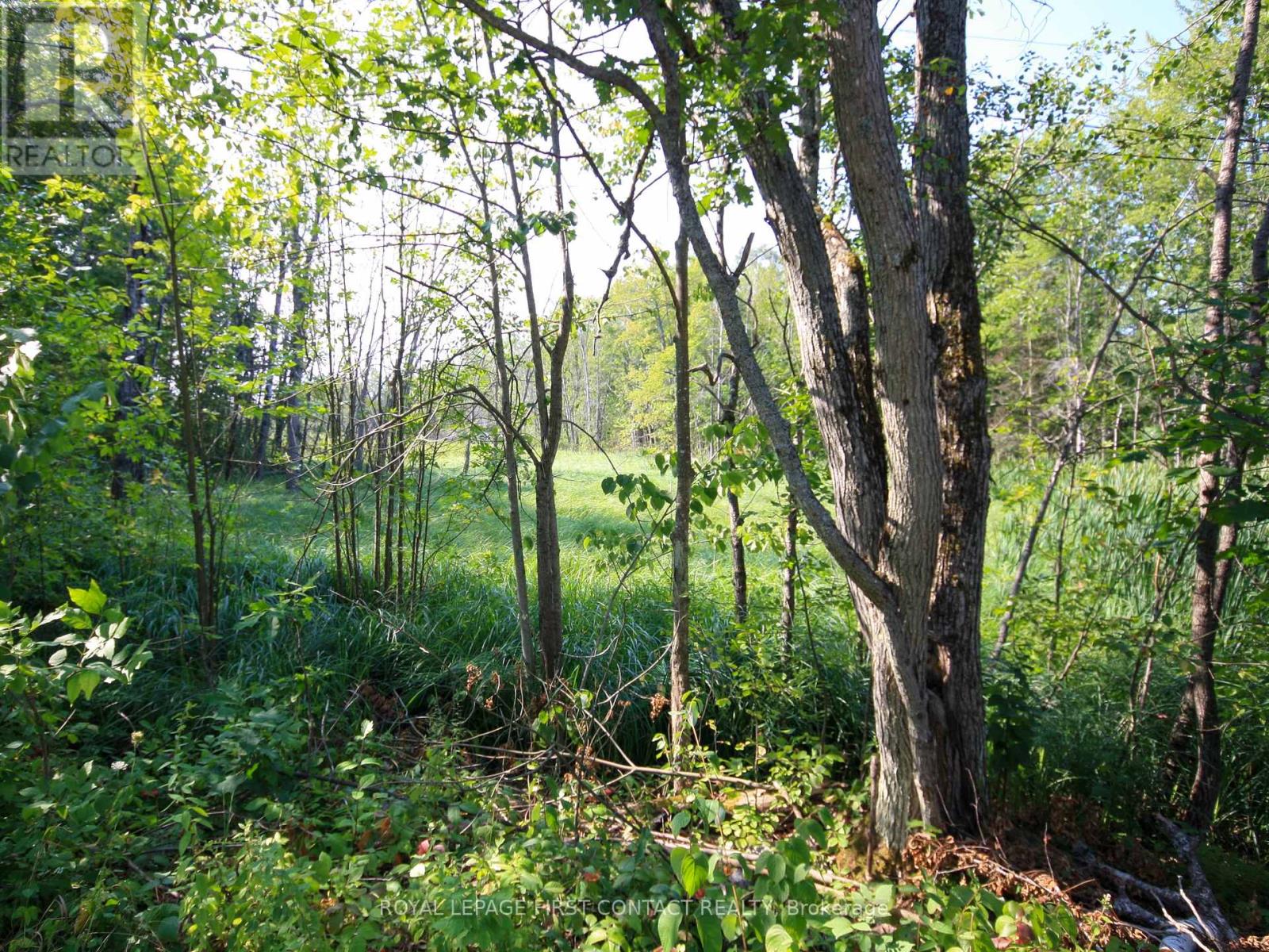 30 Birch Acres Drive, Georgian Bay, Ontario  L0K 1S0 - Photo 27 - X12365019