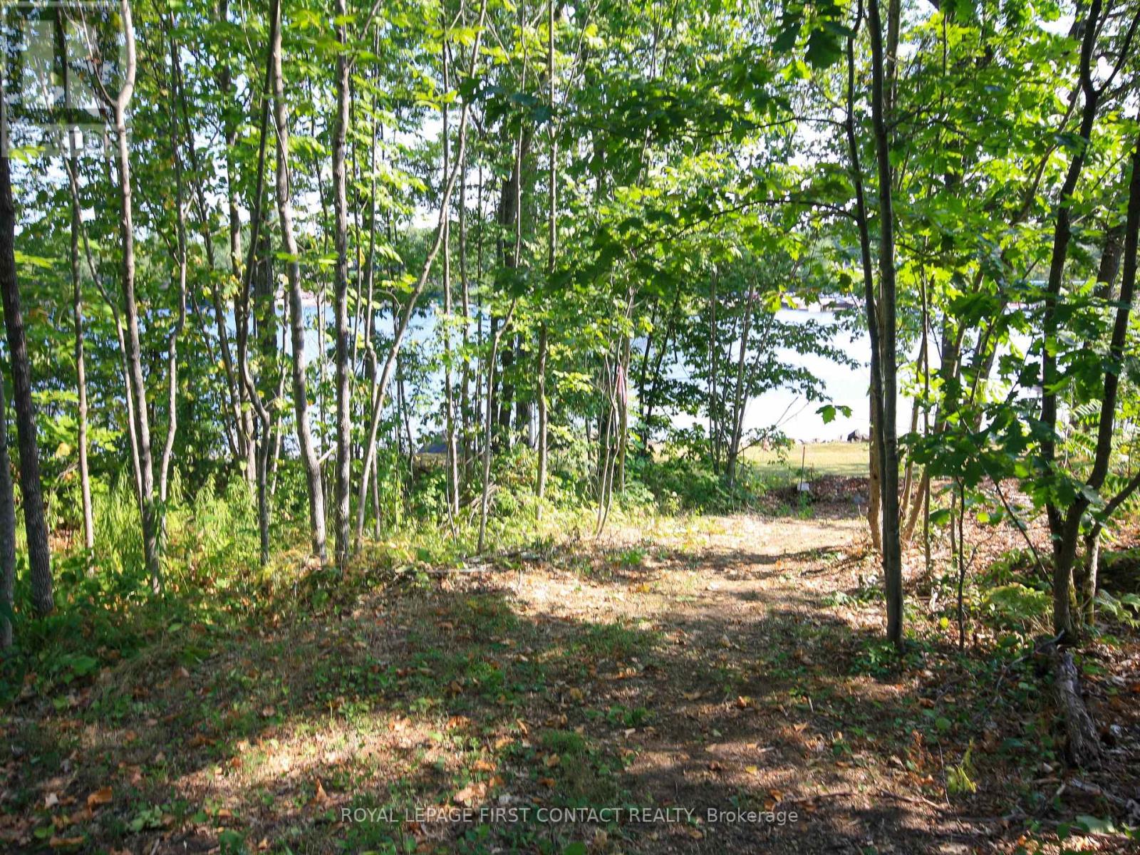 30 Birch Acres Drive, Georgian Bay, Ontario  L0K 1S0 - Photo 29 - X12365019