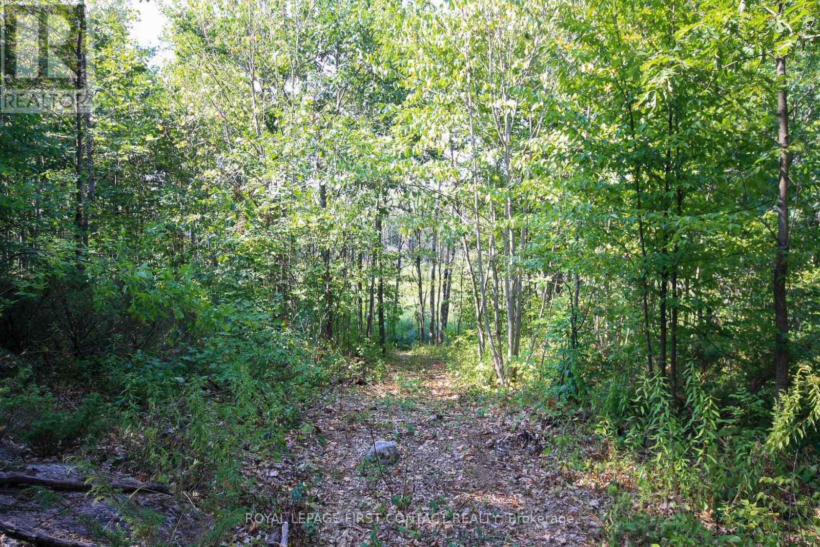 30 Birch Acres Drive, Georgian Bay, Ontario  L0K 1S0 - Photo 31 - X12365019