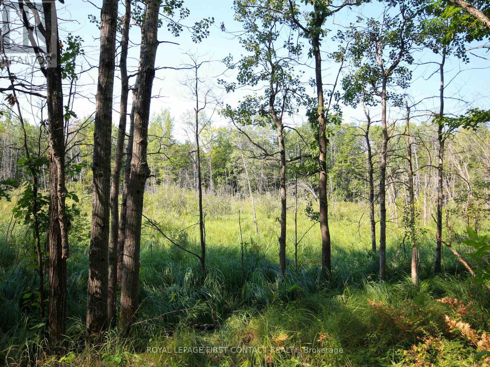 30 Birch Acres Drive, Georgian Bay, Ontario  L0K 1S0 - Photo 32 - X12365019