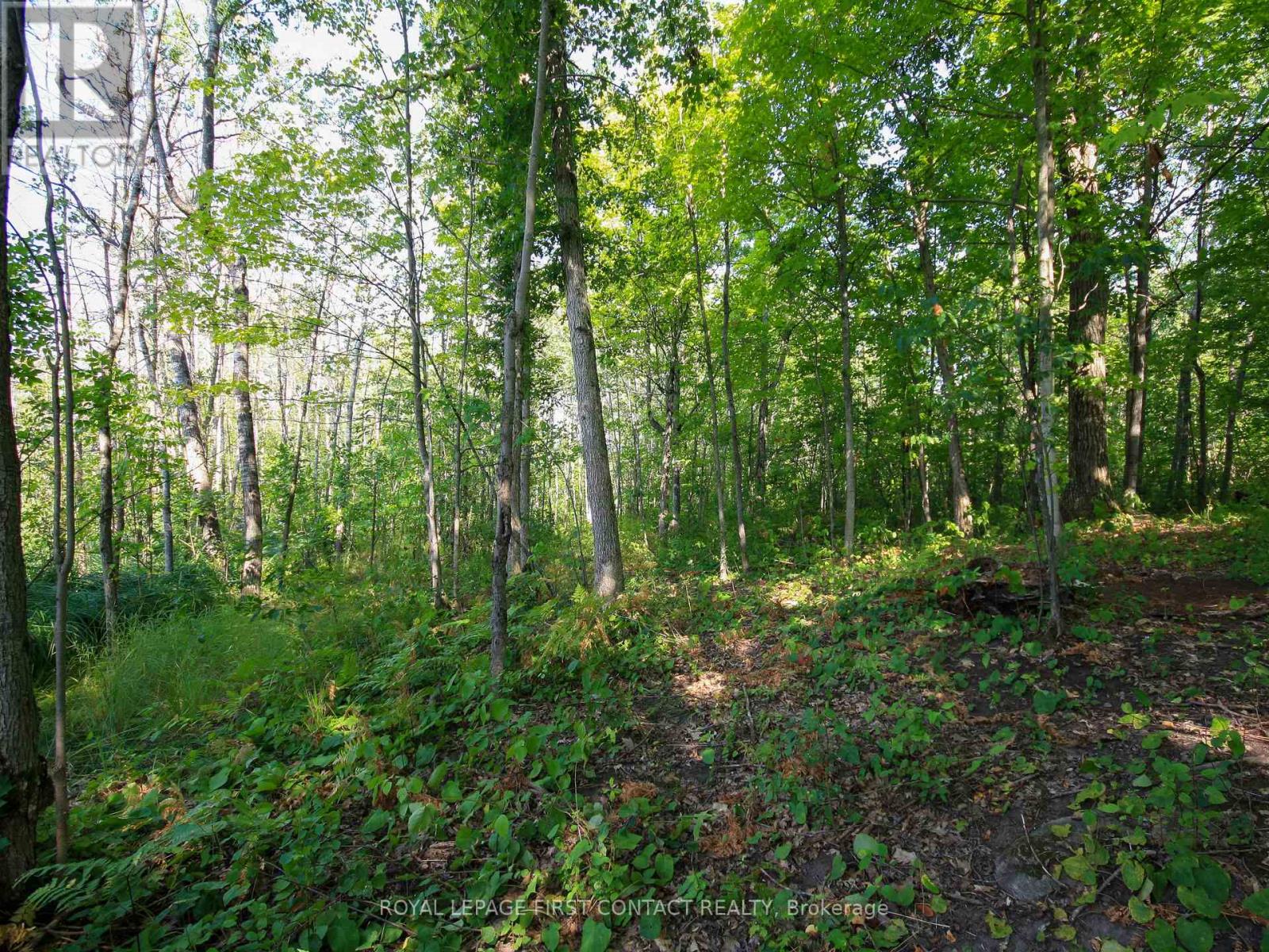 30 Birch Acres Drive, Georgian Bay, Ontario  L0K 1S0 - Photo 33 - X12365019