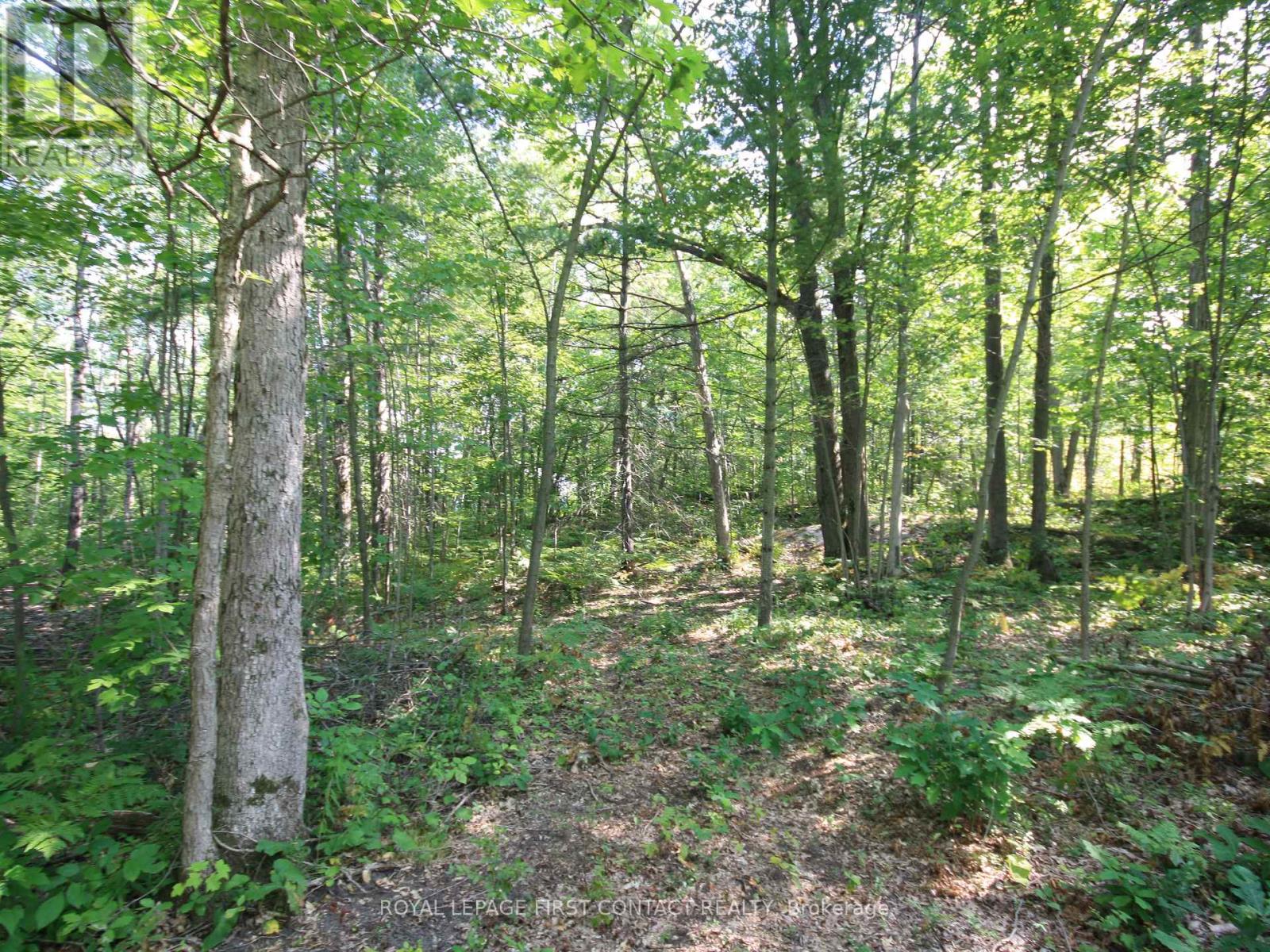 30 Birch Acres Drive, Georgian Bay, Ontario  L0K 1S0 - Photo 35 - X12365019