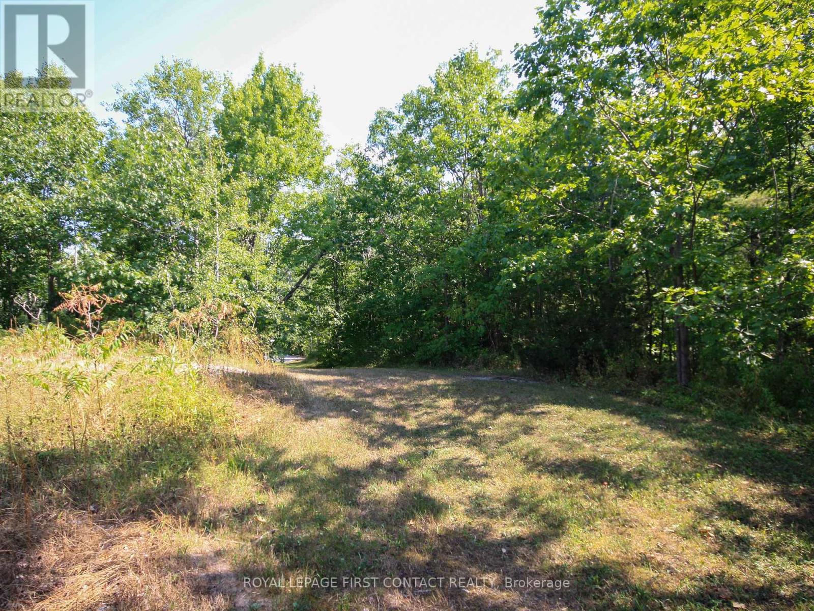 30 Birch Acres Drive, Georgian Bay, Ontario  L0K 1S0 - Photo 36 - X12365019