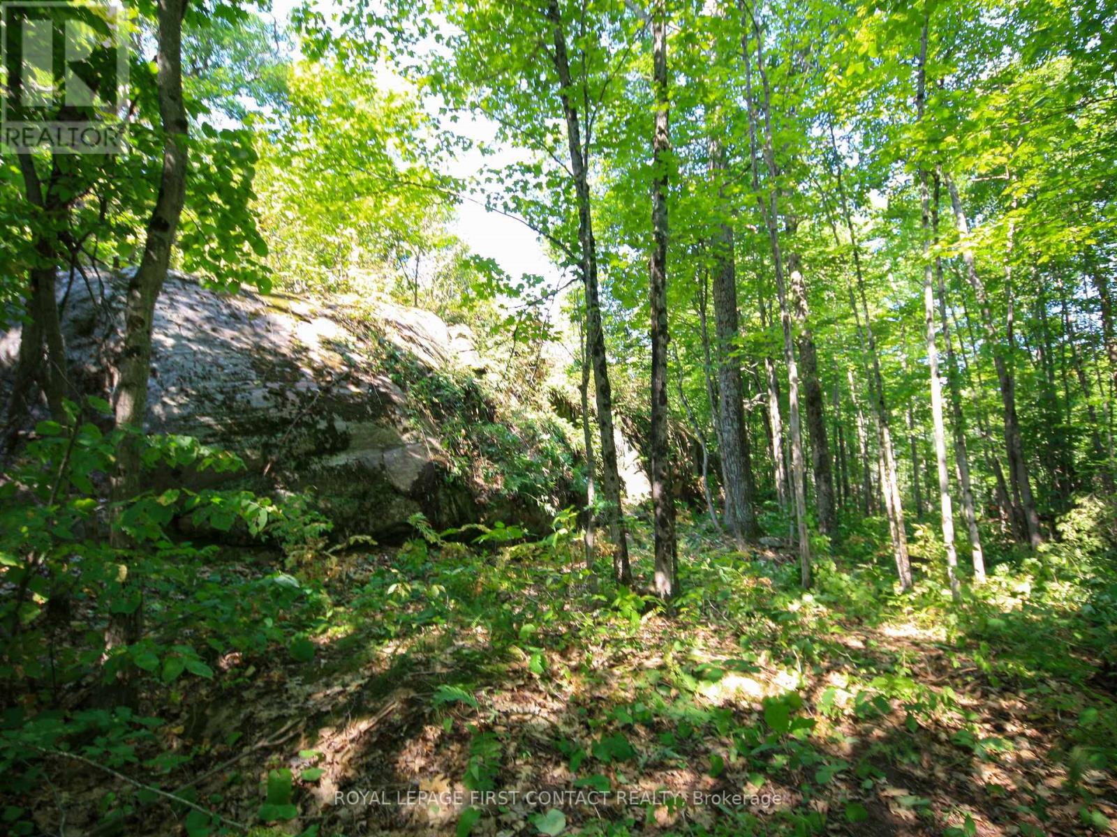 30 Birch Acres Drive, Georgian Bay, Ontario  L0K 1S0 - Photo 37 - X12365019
