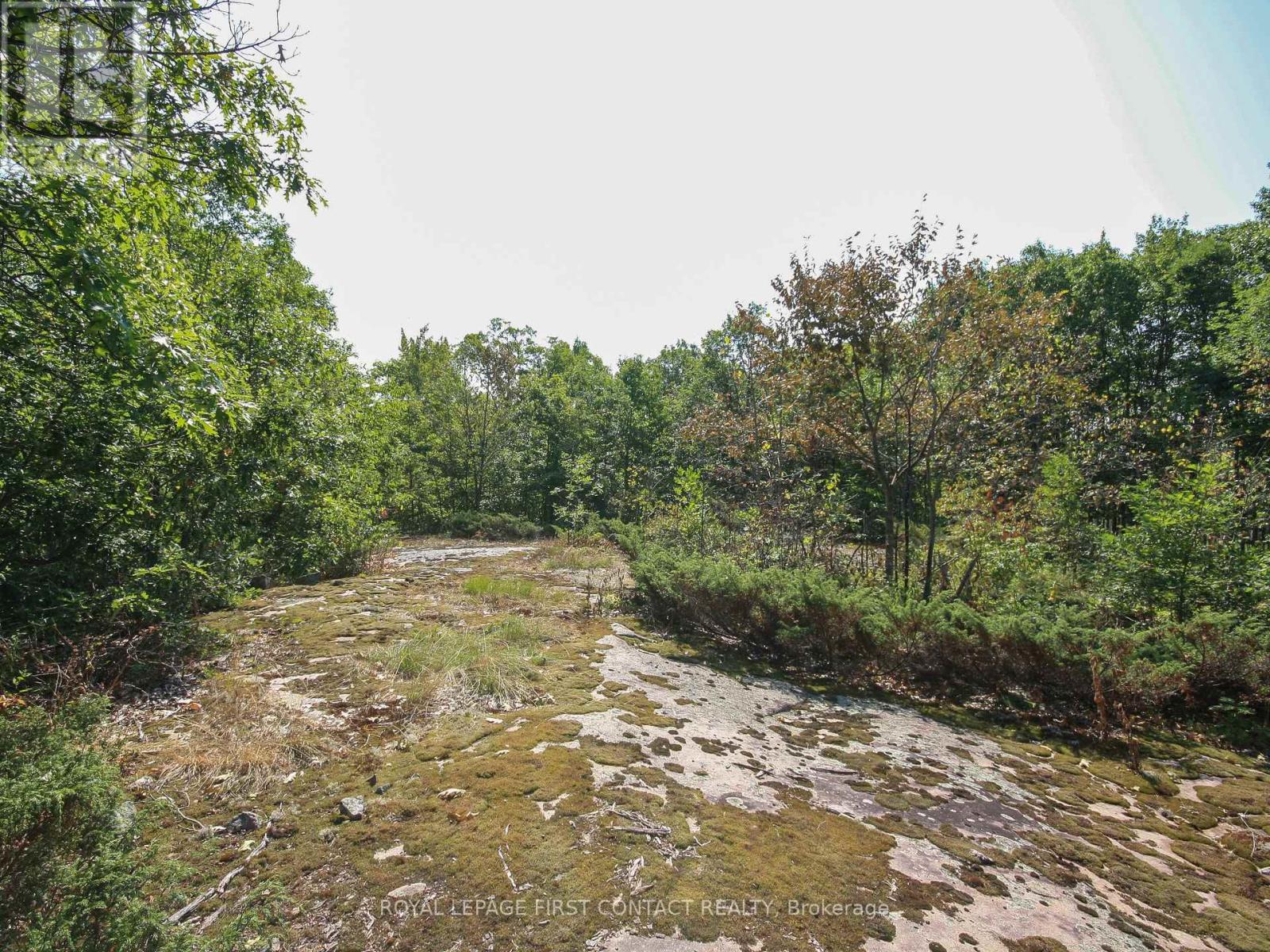 30 Birch Acres Drive, Georgian Bay, Ontario  L0K 1S0 - Photo 38 - X12365019