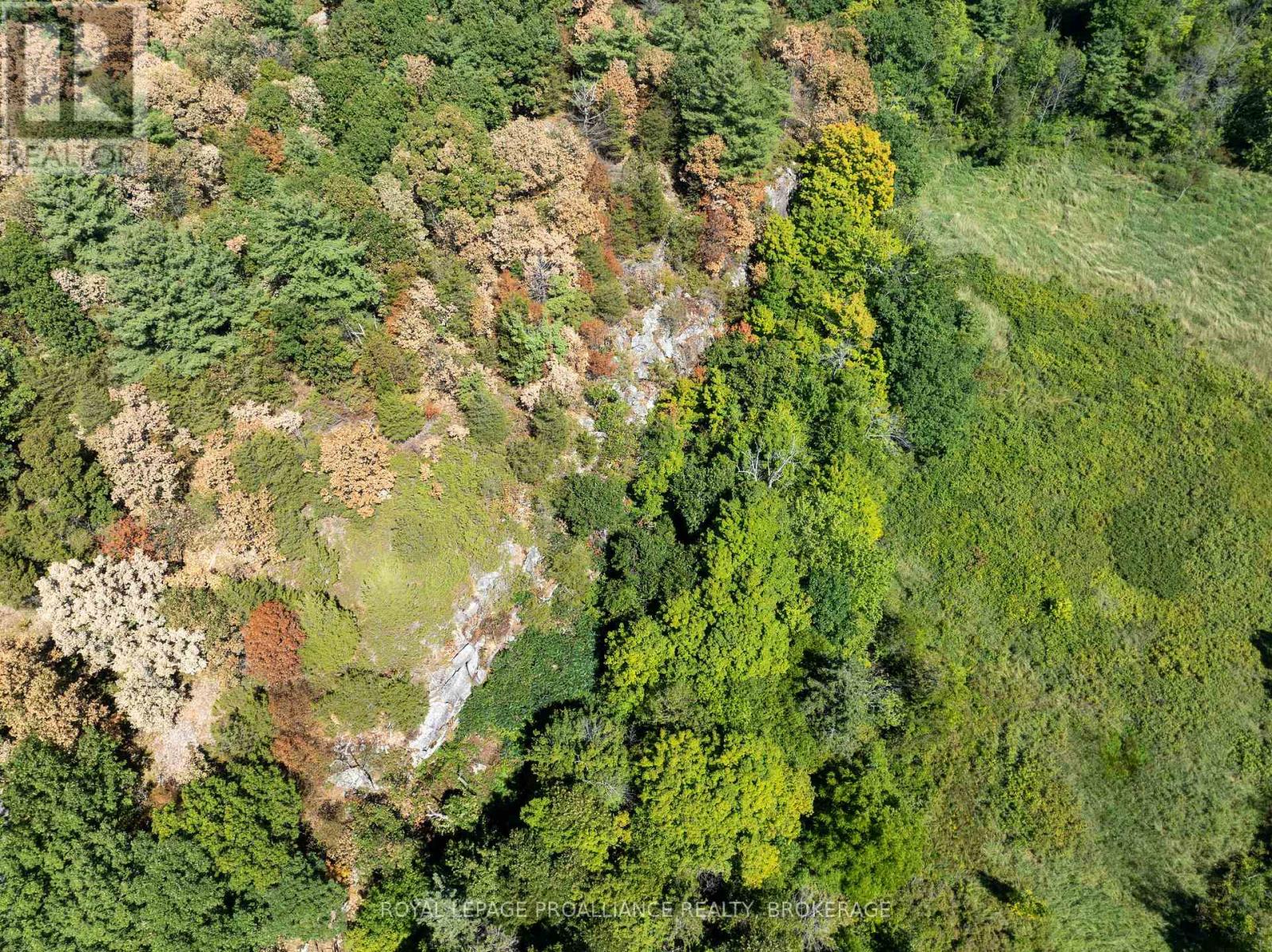 492 1000 Islands Parkway, Front Of Leeds & Seeleys Bay, Ontario  K0E 1L0 - Photo 16 - X12365107