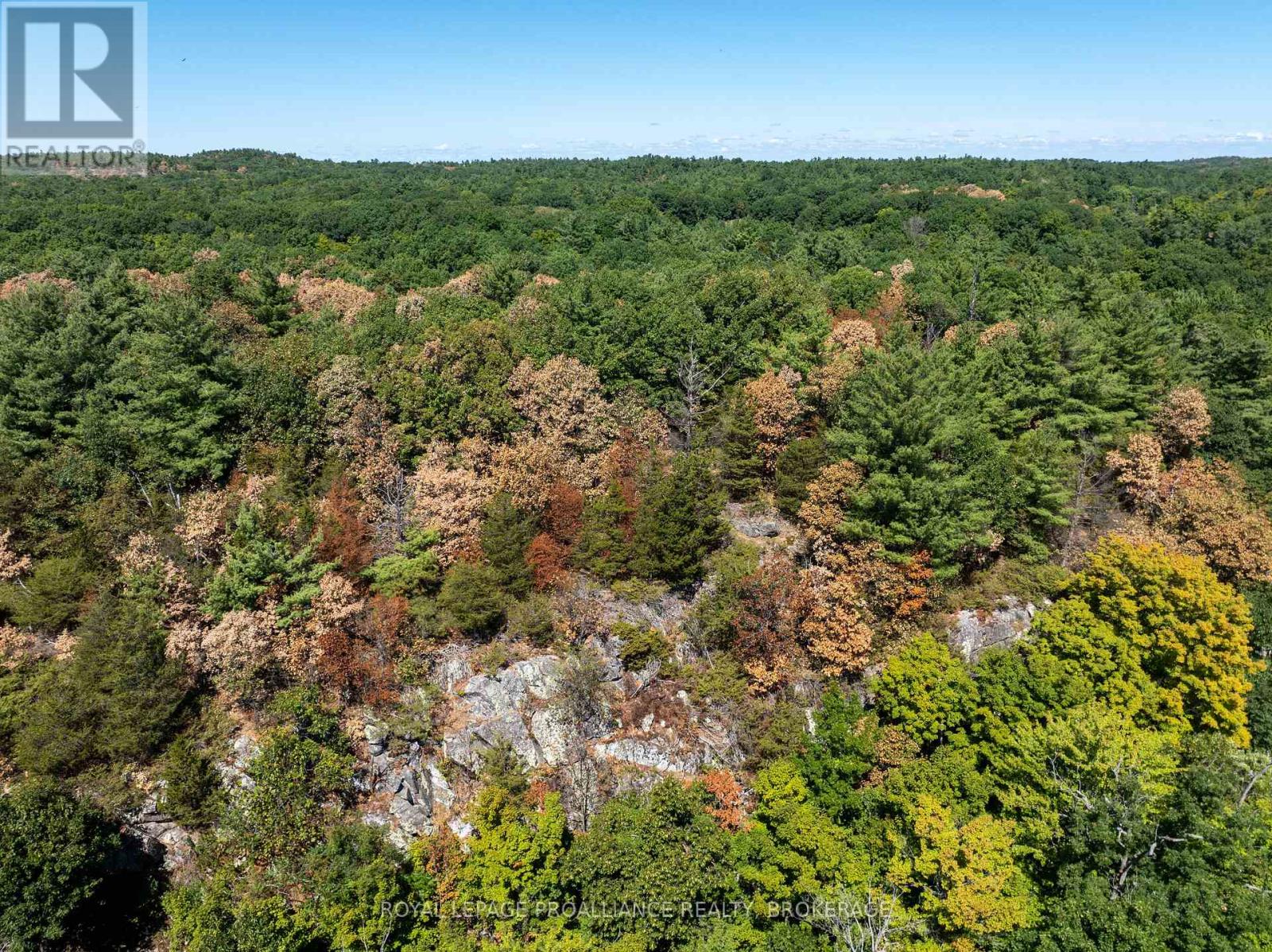 492 1000 Islands Parkway, Front Of Leeds & Seeleys Bay, Ontario  K0E 1L0 - Photo 8 - X12365107