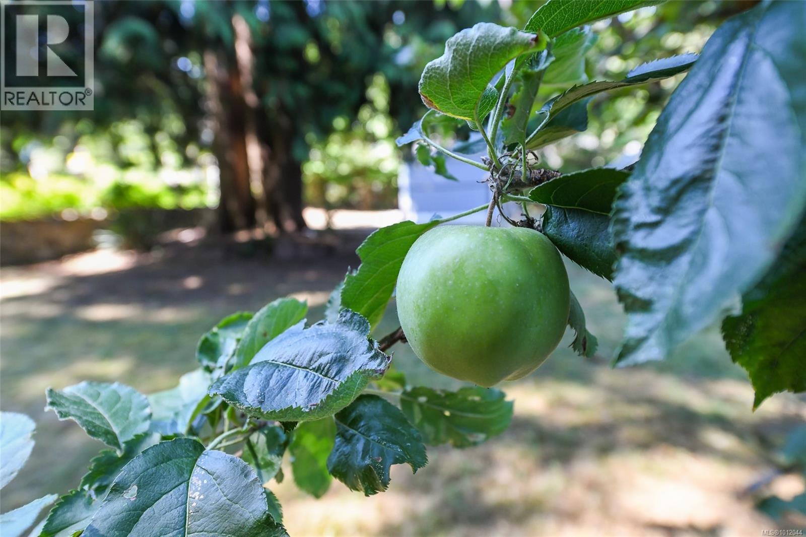 7730 Vivian Way, Fanny Bay, British Columbia  V0R 2W0 - Photo 47 - 1012044