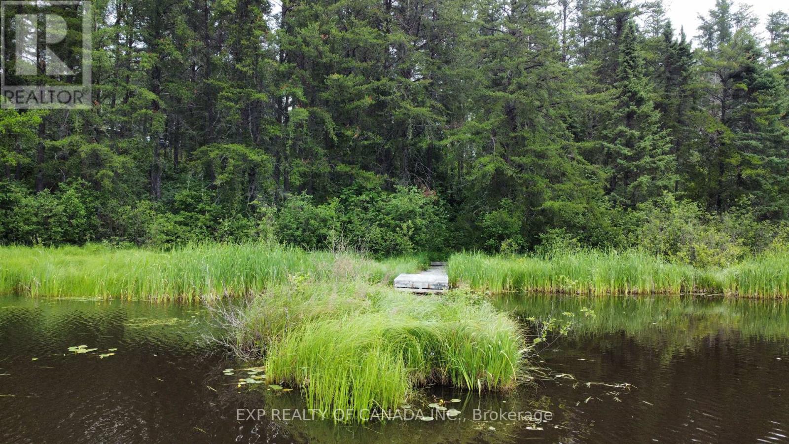 Pcl 17142 - 17143 Lt 13 Concession 6, Black River-Matheson, Ontario P0K 1N0 - Photo 8 - T12365131