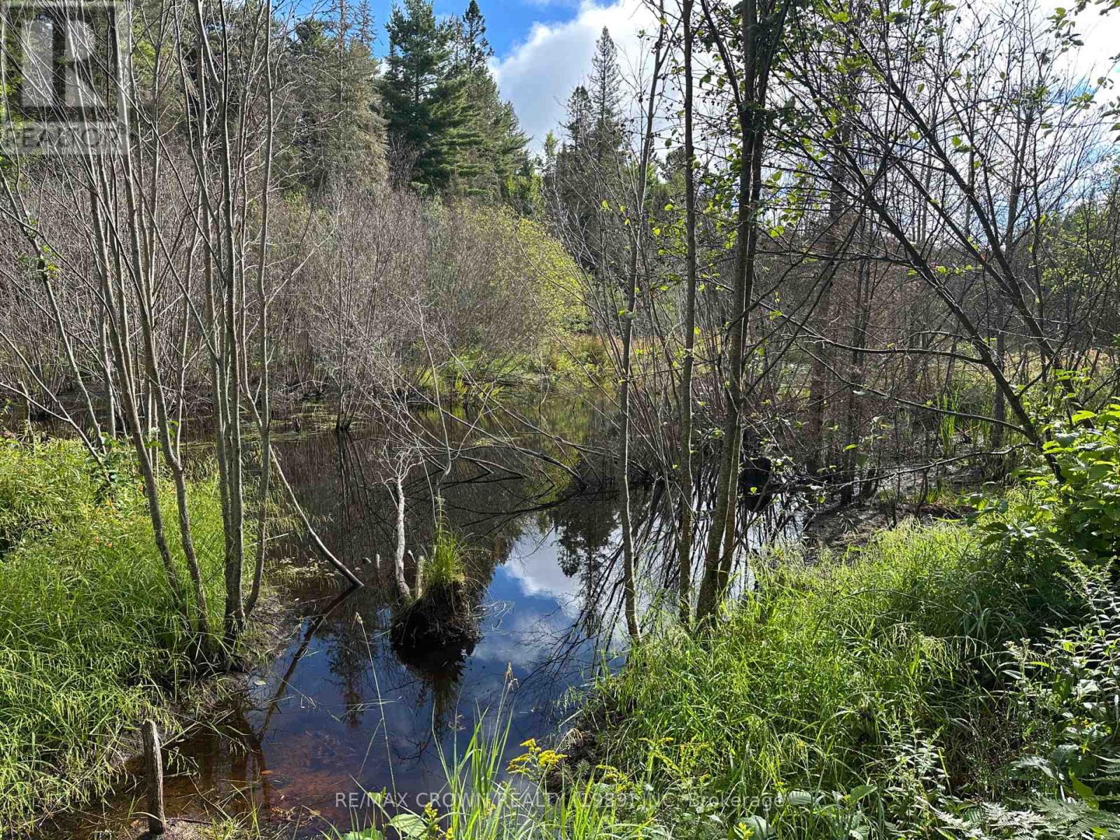 212 Weiler Line, Powassan, Ontario P0H 2L0 - Photo 20 - X12363354