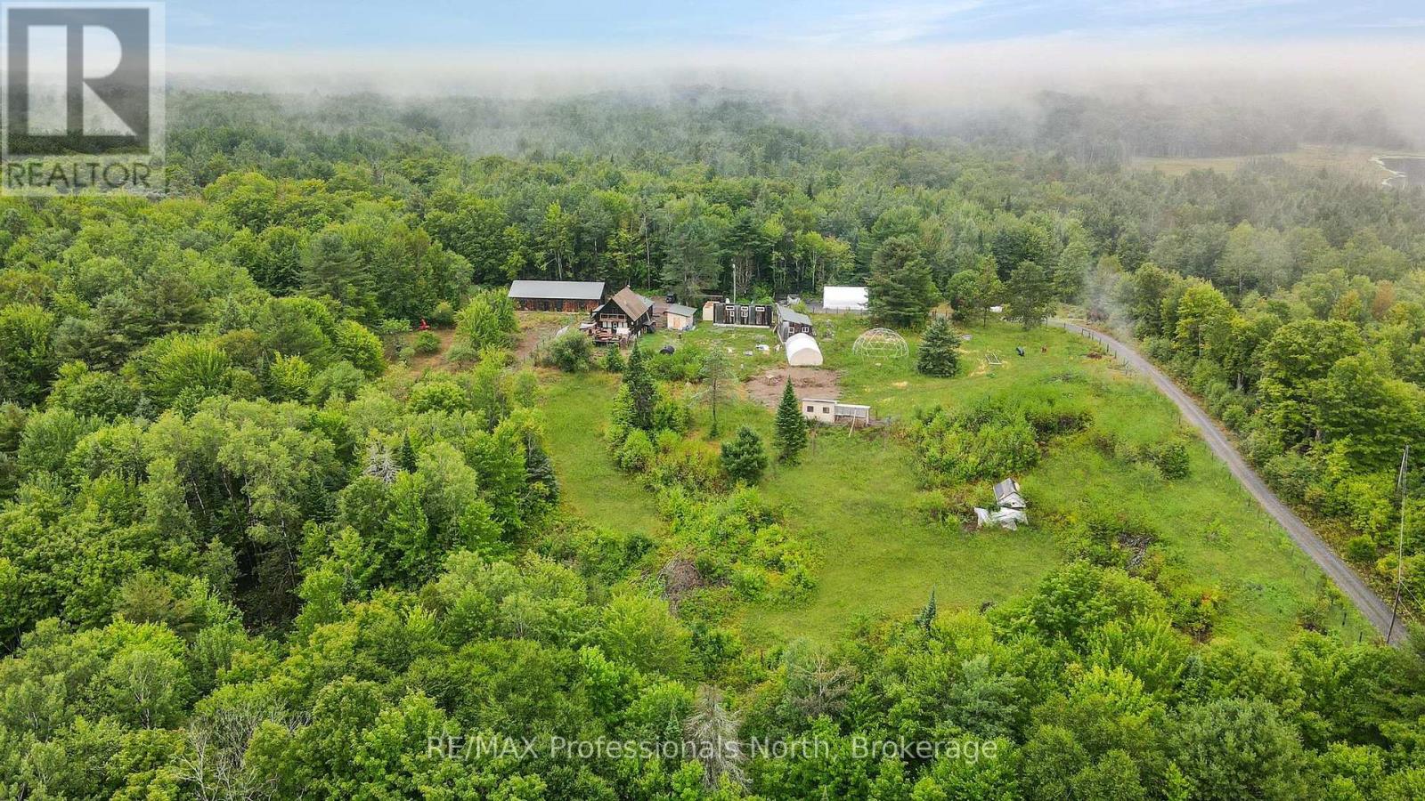 1597 Queens Line Road, Minden Hills, Ontario  K0M 2K0 - Photo 3 - X12359845