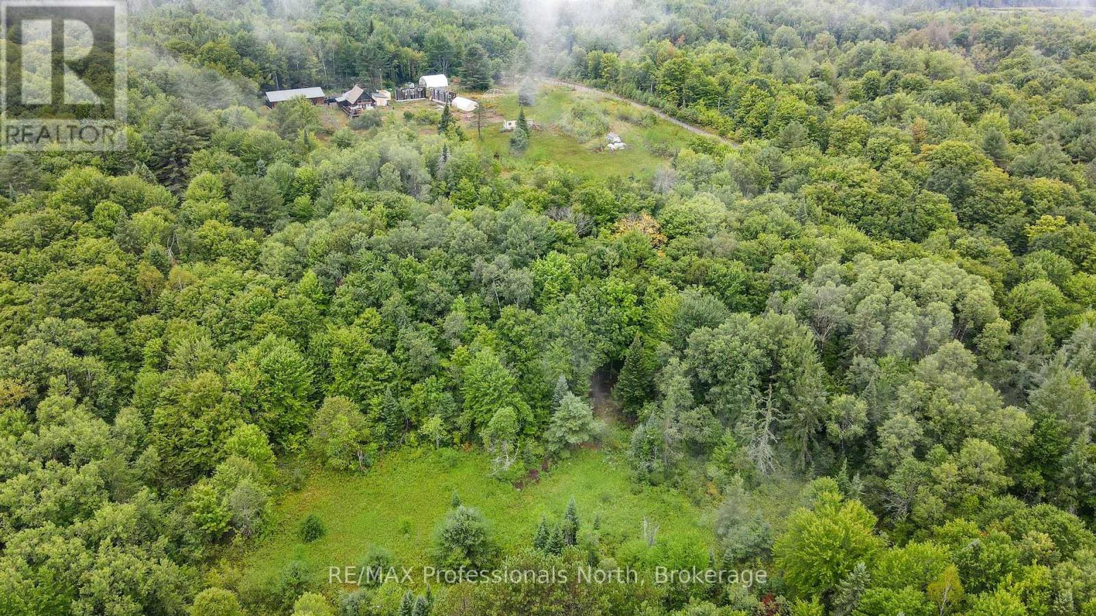 1597 Queens Line Road, Minden Hills, Ontario  K0M 2K0 - Photo 50 - X12359845