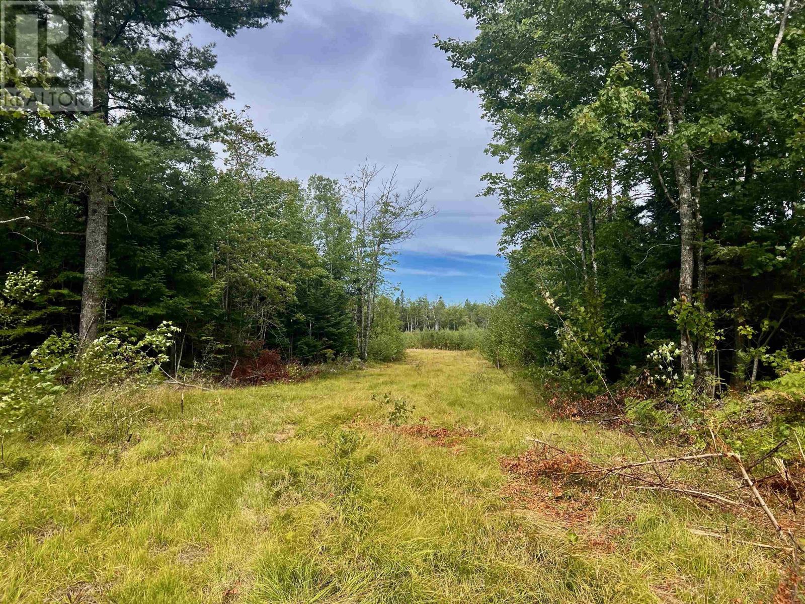 Lot 9 Peck Meadow Road, Greenfield, Nova Scotia  B4P 2R1 - Photo 5 - 202519084
