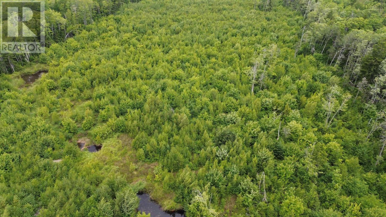 Lot 8 Peck Meadow Road, Greenfield, Nova Scotia  B4P 2R1 - Photo 6 - 202519083