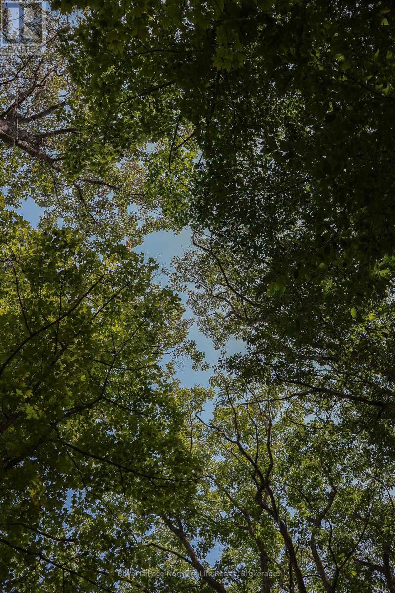 Lot 12 South Shore Road, East Ferris, Ontario  P0H 1B0 - Photo 3 - X12365248