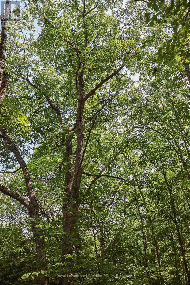 Lot 12 South Shore Road, East Ferris, Ontario  P0H 1B0 - Photo 4 - X12365248