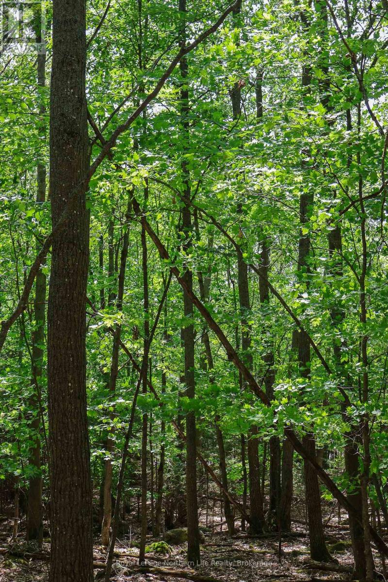 Lot 12 South Shore Road, East Ferris, Ontario  P0H 1B0 - Photo 5 - X12365248