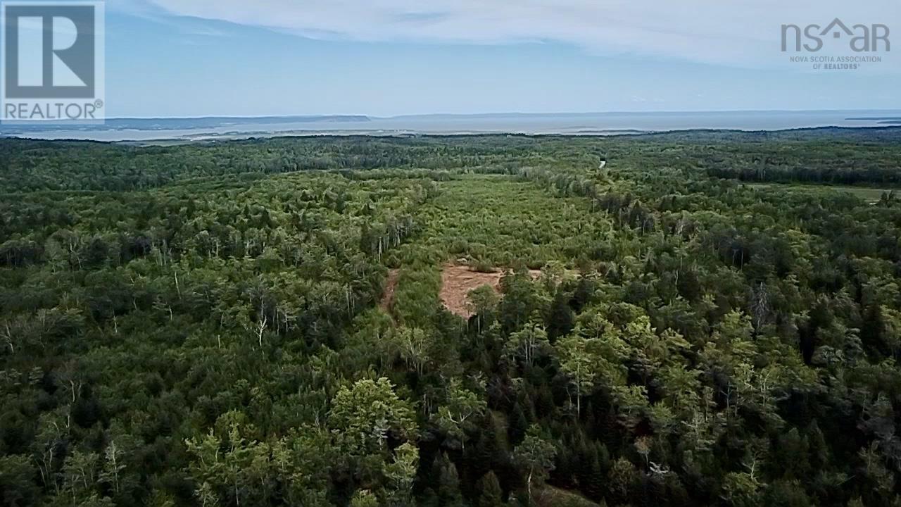 Lot 10 Peck Meadow Road, Greenfield, Nova Scotia  B4P 2R1 - Photo 6 - 202519093