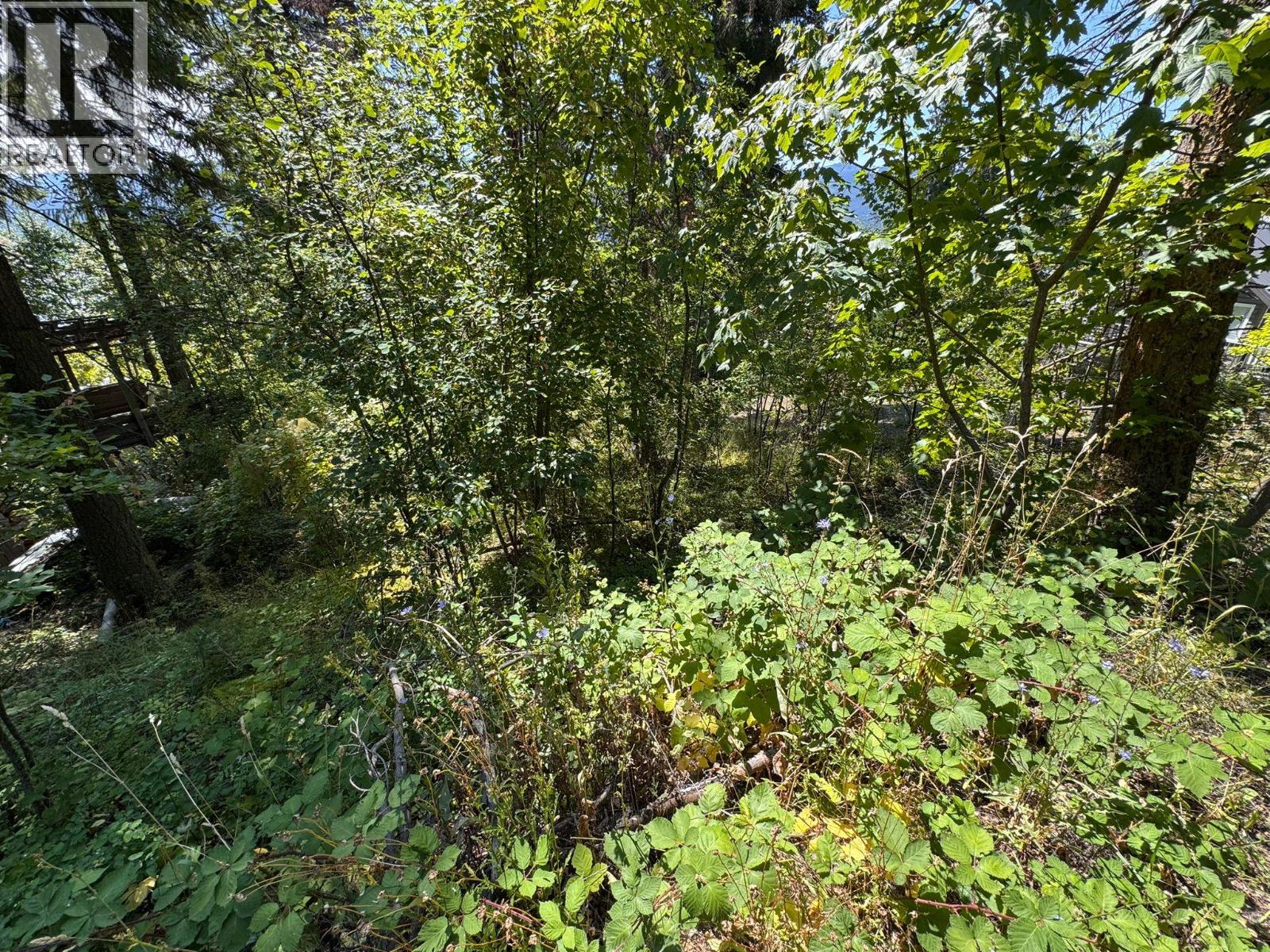 Lonneke Trail Lot# 52, Anglemont, British Columbia  V0E 1M8 - Photo 5 - 10358255
