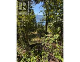 Lonneke Trail Lot# 52 North Shuswap