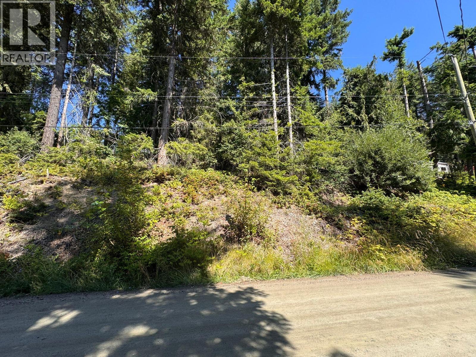 Lonneke Trail Lot# 52, Anglemont, British Columbia  V0E 1M8 - Photo 8 - 10358255