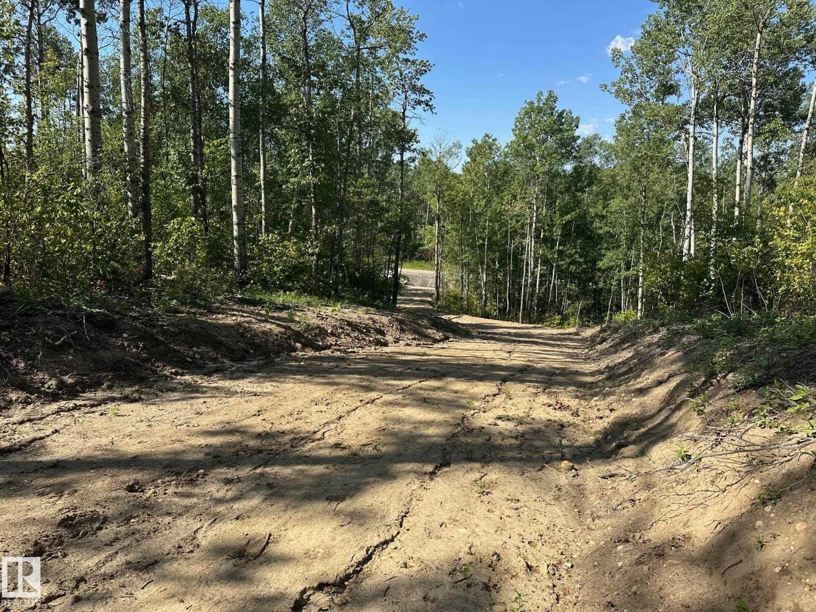 54109 Rge Rd 275, Rural Parkland County, Alberta  T7X 3S4 - Photo 8 - E4431346