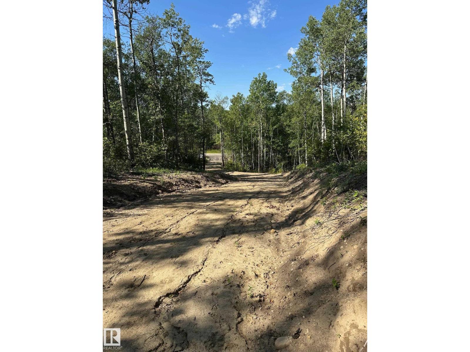 54109 Rge Rd 275, Rural Parkland County, Alberta  T7X 3S4 - Photo 9 - E4431346