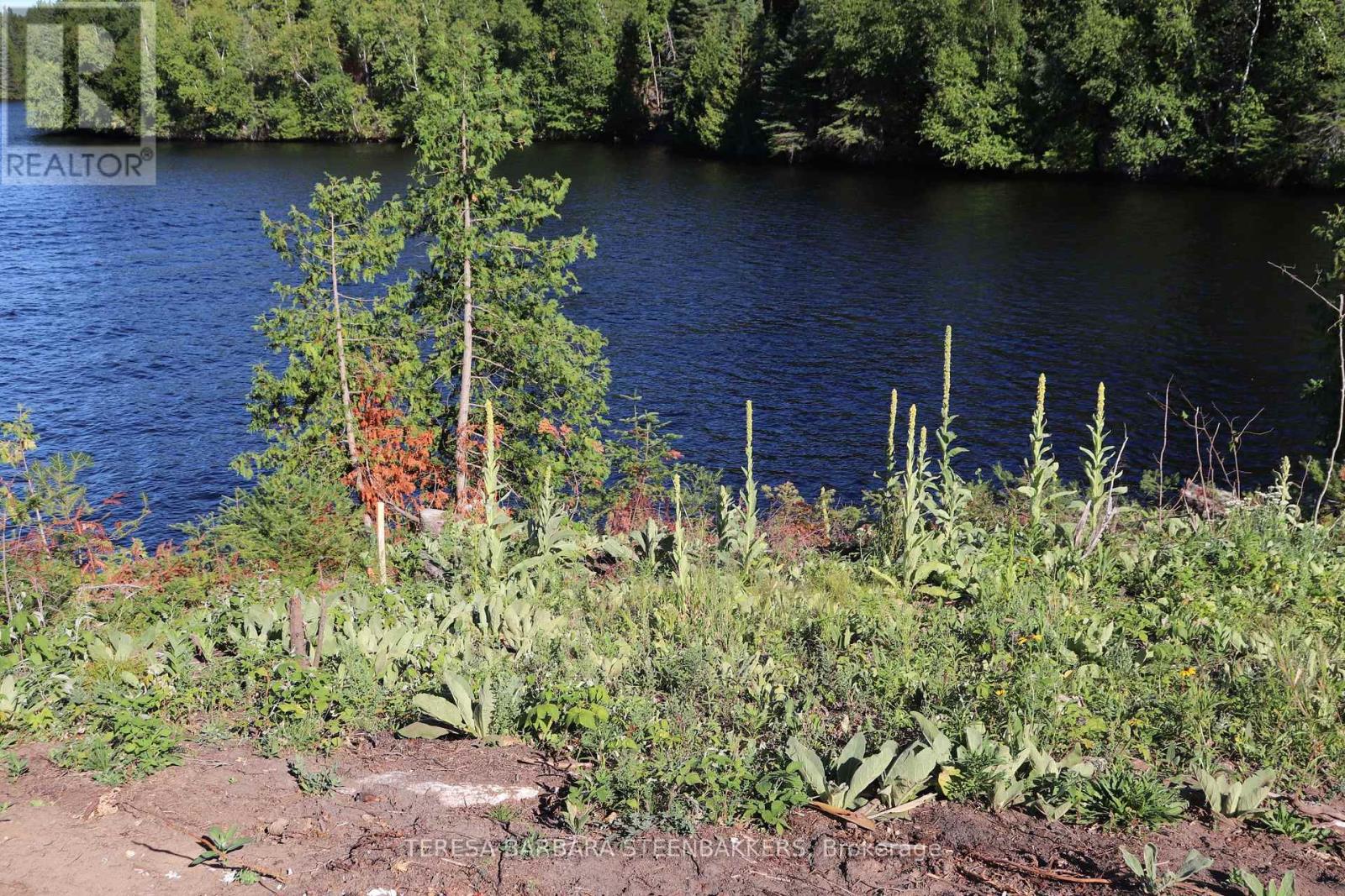 ### Sweets Lane, Greater Madawaska, Ontario  K0J 2R0 - Photo 17 - X12365521