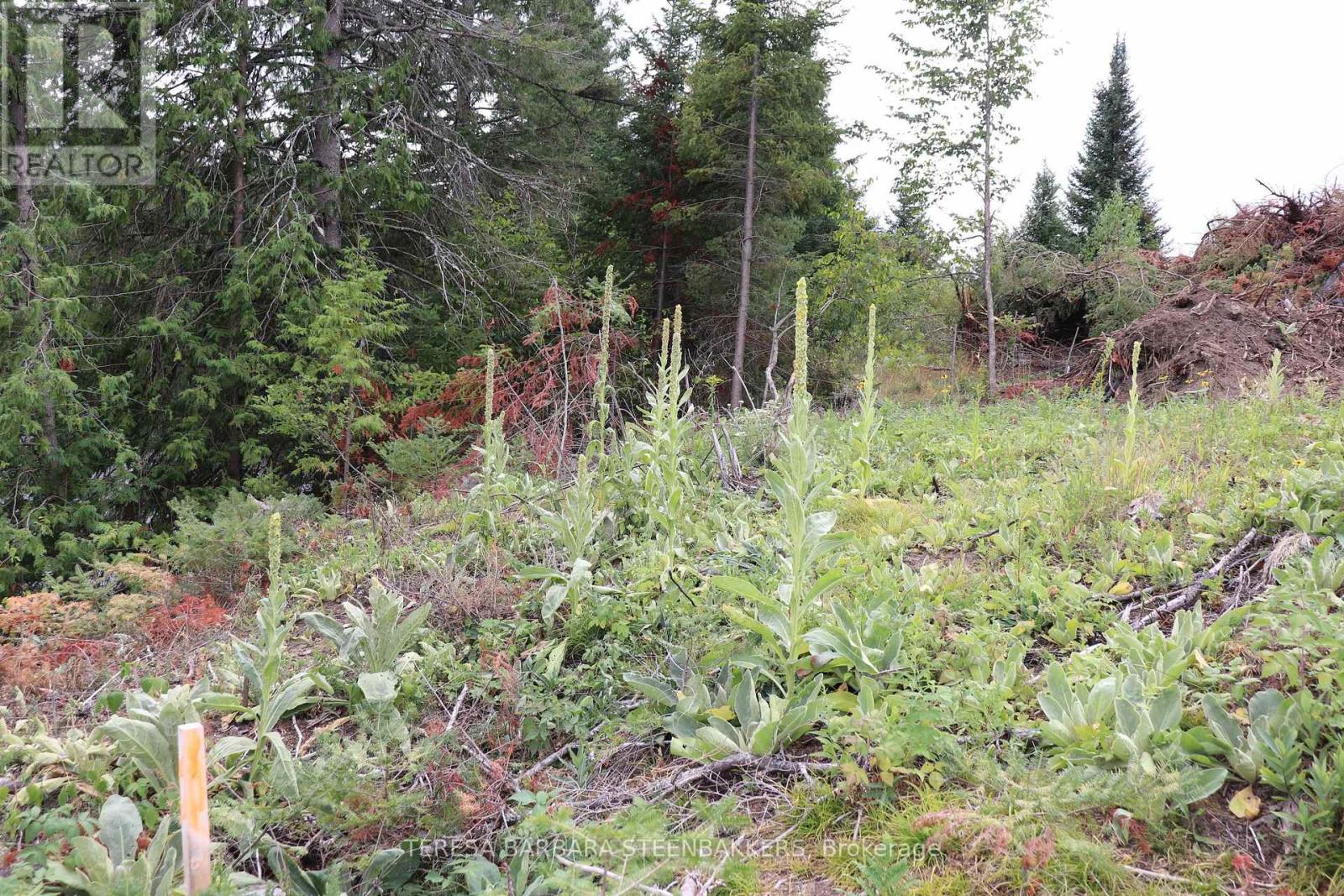 ### Sweets Lane, Greater Madawaska, Ontario  K0J 2R0 - Photo 19 - X12365521
