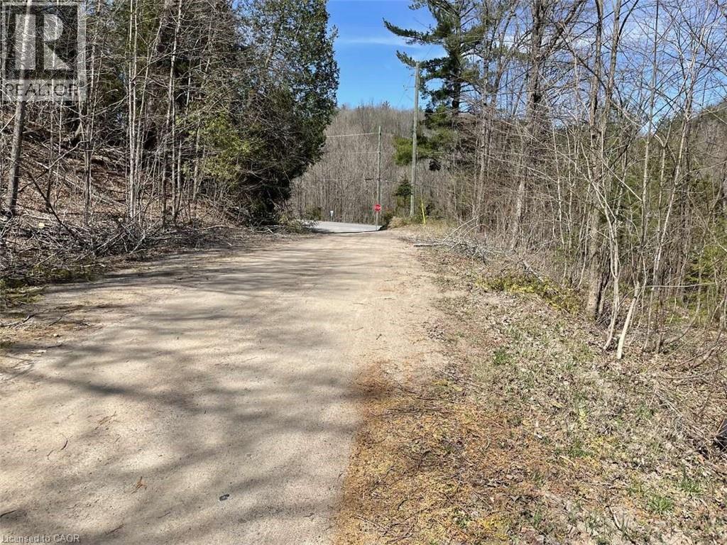 Lot 1 Colonial Road, Minden, Ontario  K0M 2K0 - Photo 3 - 40763425