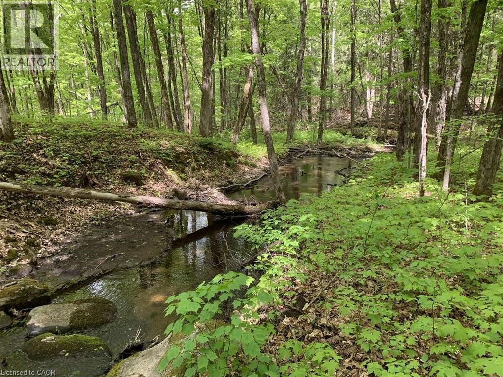 Lot 1 Colonial Road, Minden, Ontario  K0M 2K0 - Photo 7 - 40763425