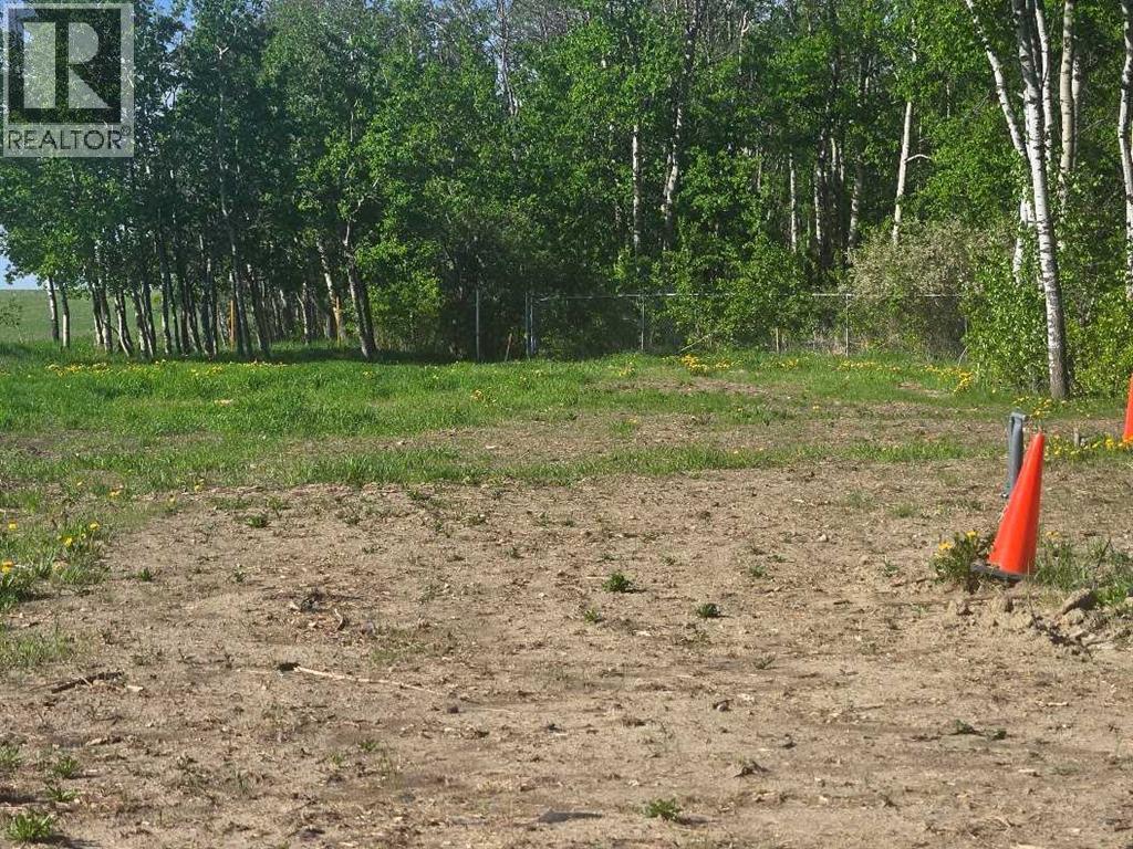 1019 391 Township, Rural Red Deer County, Alberta  T4P 0E8 - Photo 12 - A2186783