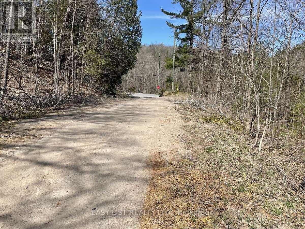 Lot 1 Colonial Road, Minden Hills, Ontario  K0M 2K0 - Photo 3 - X12363687