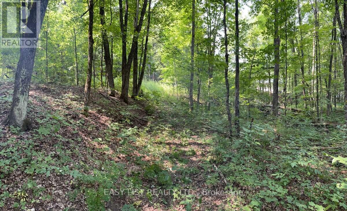 Lot 1 Colonial Road, Minden Hills, Ontario  K0M 2K0 - Photo 6 - X12363687